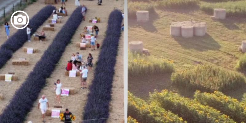 Riapre Cascina Savino Dopo La Mancata Iniziativa Con I Tulipani