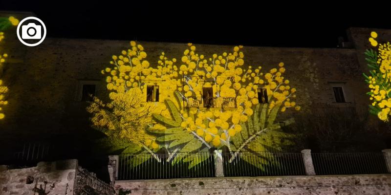 Santagata Di Puglia Il Videomapping Delle Mimose Sulla Facciata Del