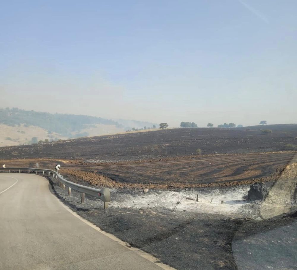 Inferno Di Fuoco Sul Gargano Incendio A Vieste Evacuate Circa 2mila