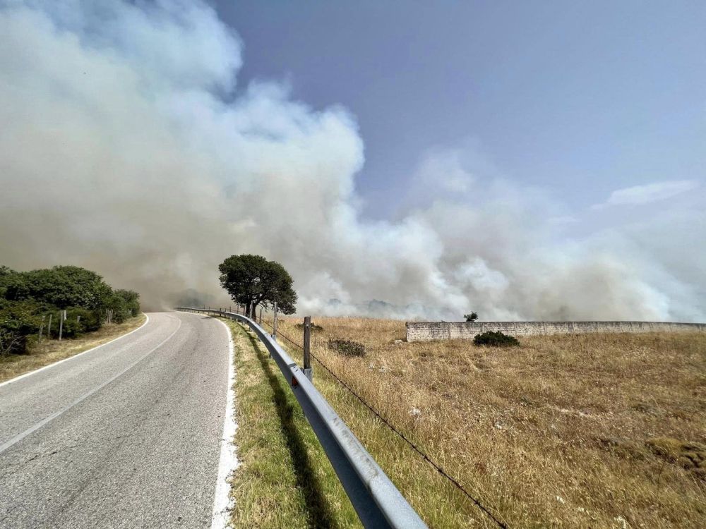 Inferno Di Fuoco Sul Gargano Incendio A Vieste Evacuate Circa 2mila